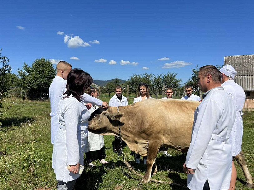 Опанування практичних навиків студентами відділення ветеринарної медицини
