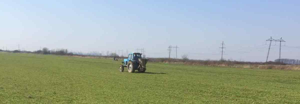 Підживлення посівів озимих зернових культур на дослідно-демонстраційних полях 