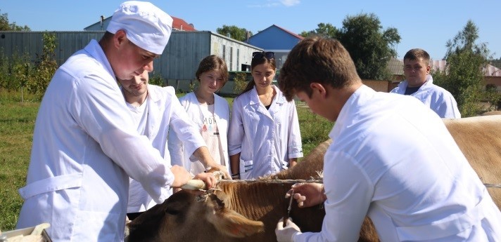 Практикуємось у клініці