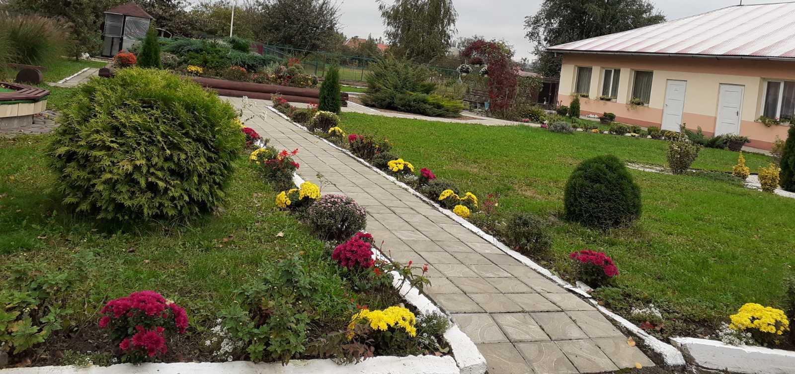 Чисте довкілля