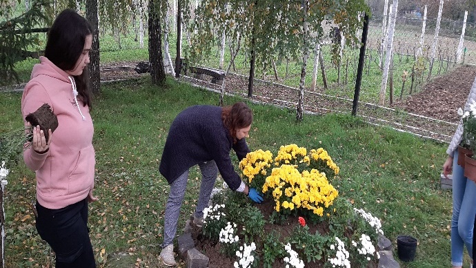 Облаштування території навчального закладу композиціями осінніх квітів