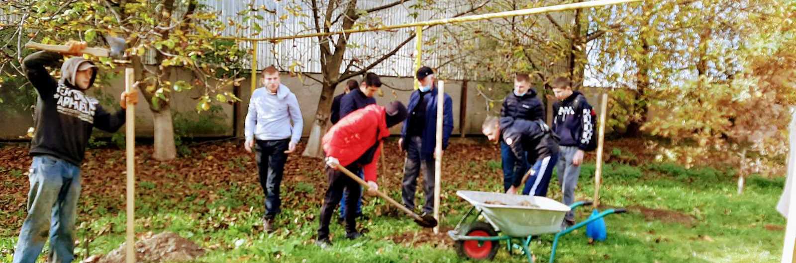 Вшануй героїчний подвиг і жертовність Українського народу у Другій світовій війні - висади дерево