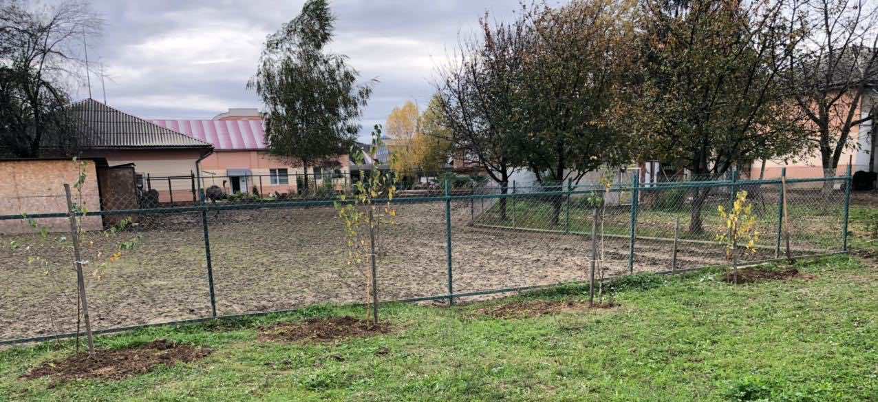 CТУДЕНТИ ВЗЯЛИ УЧАСТЬ В ОЗЕЛЕНЕННІ КОЛЕДЖУ