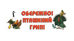 Що треба знати про пташиний грип