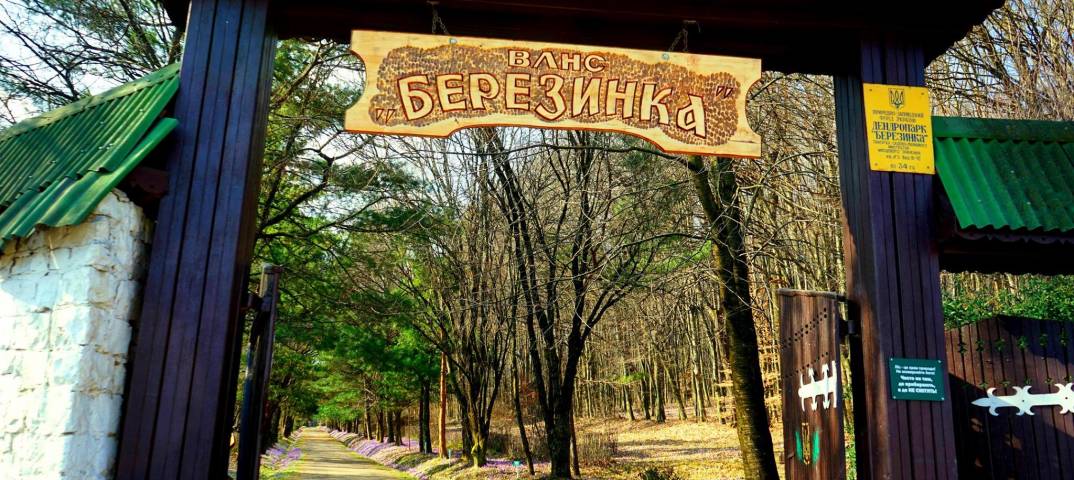 Дендропарк «Березинка» - дивовижний квітучий сад