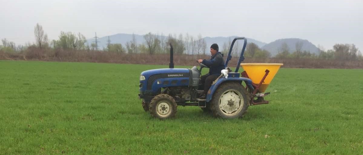 Друге підживлення озимих зернових культур – продуктивне