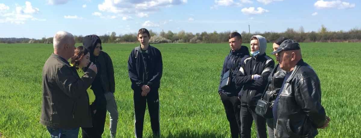 Захист озимих зернових від бур’янів і хвороб - запорука хороших врожаїв
