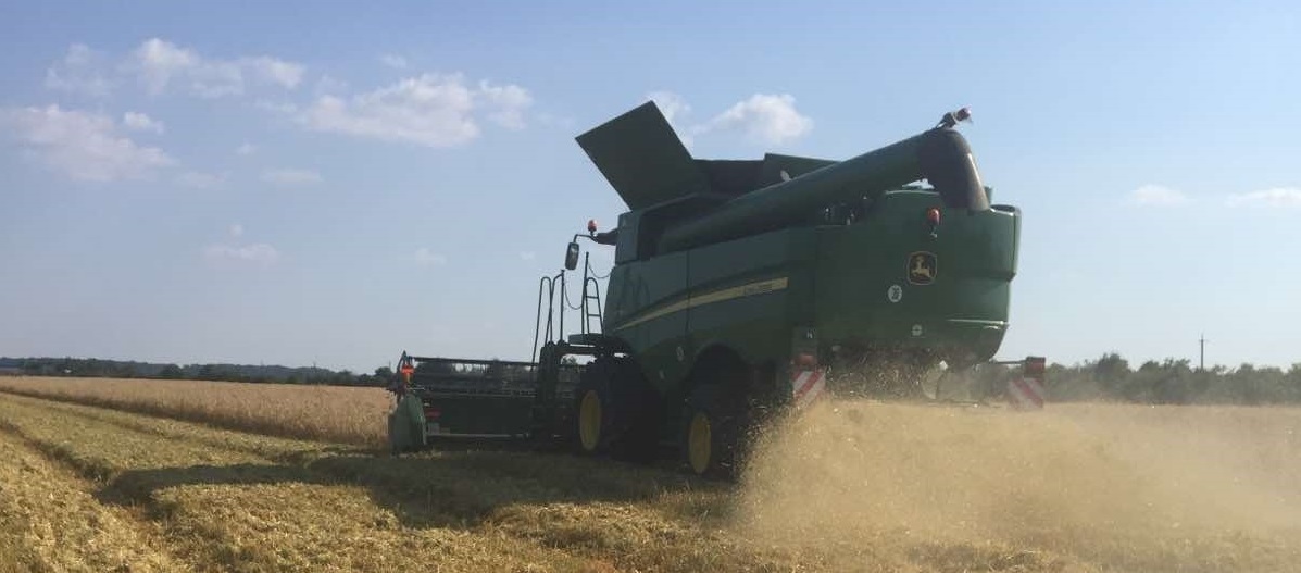 На дослідно-демонстраційних полях ВСП «Мукачівський фаховий коледж НУБіП України» успішно розпочалися жнива