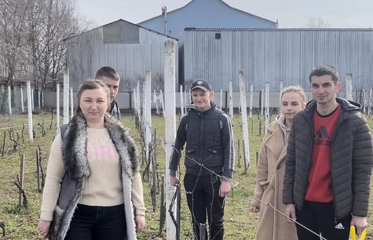  Як правильно обрізати виноград…