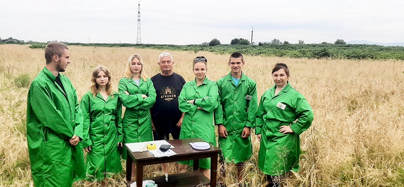 Продуктивність колоса пшениці