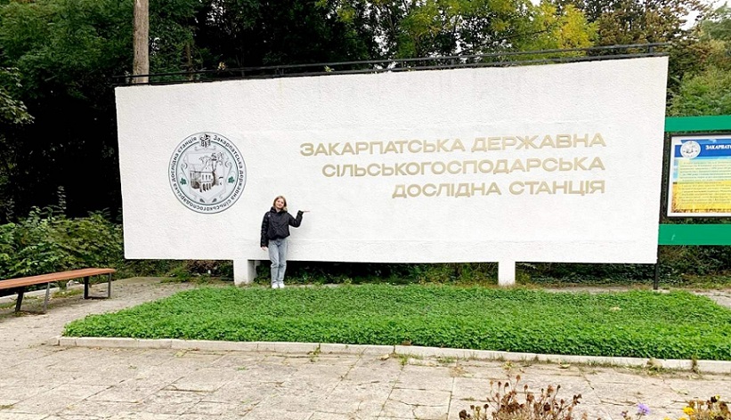 ЕФЕКТИВНЕ ПОЄДНАННЯ ТЕОРІЇ ТА ПРАКТИКИ